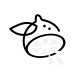 Minimalist lemon fine line tattoo design