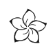 Minimalist plumeria fine line tattoo design